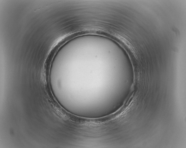 X0000116141022200912071239