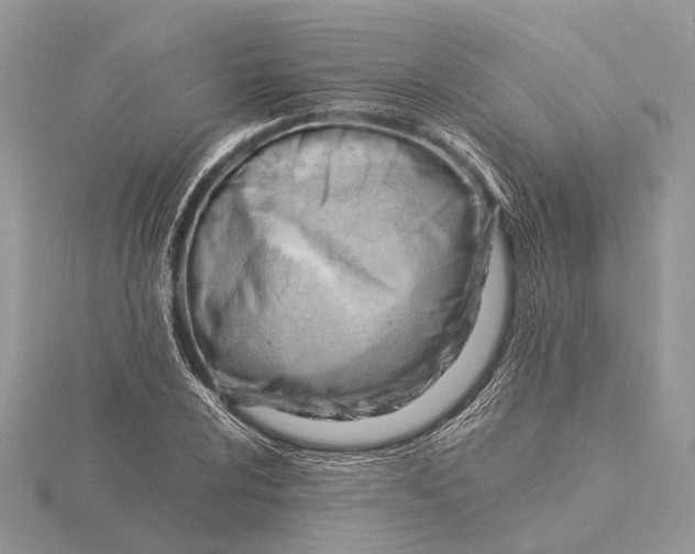 X0000116141024200912071239