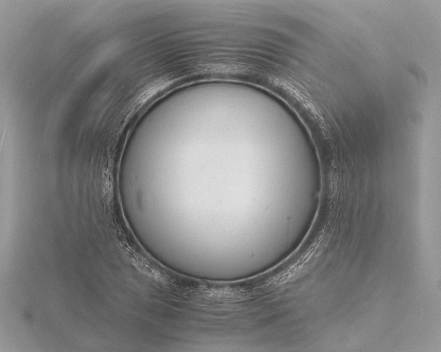 X0000116141025200912071239