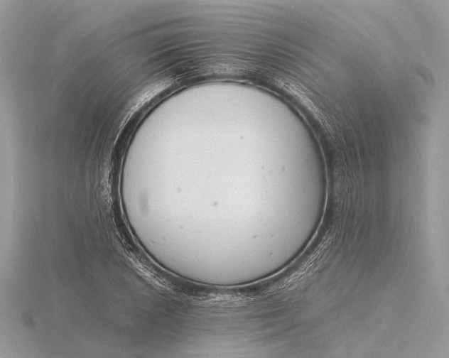 X0000116141026200912071239