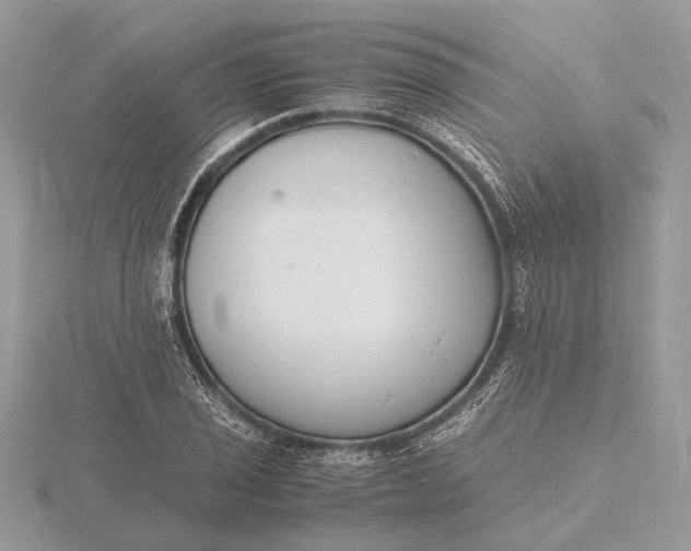 X0000116141029200912071239