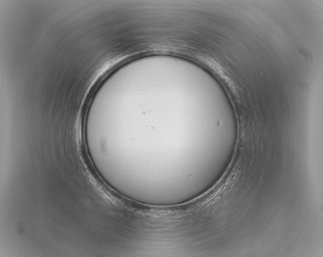 X0000116141032200912071239