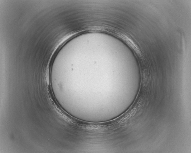 X0000116141036200912071239