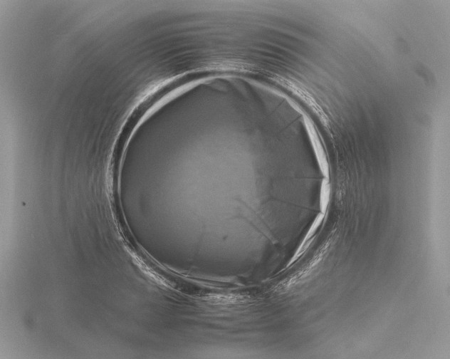 X0000116141037200912071239