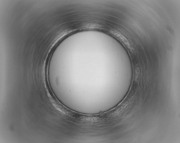 X0000116141039200912071239