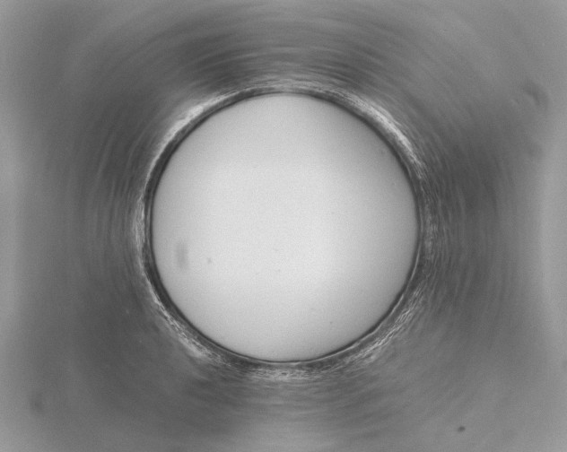 X0000116141040200912071239