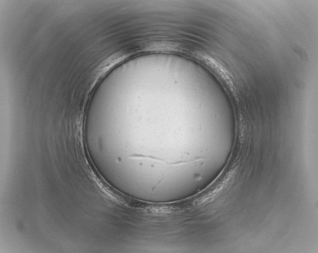 X0000116141041200912071239