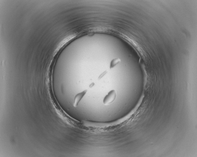 X0000116141042200912071239