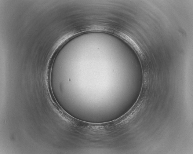 X0000116141043200912071239