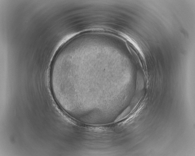 X0000116141045200912071239