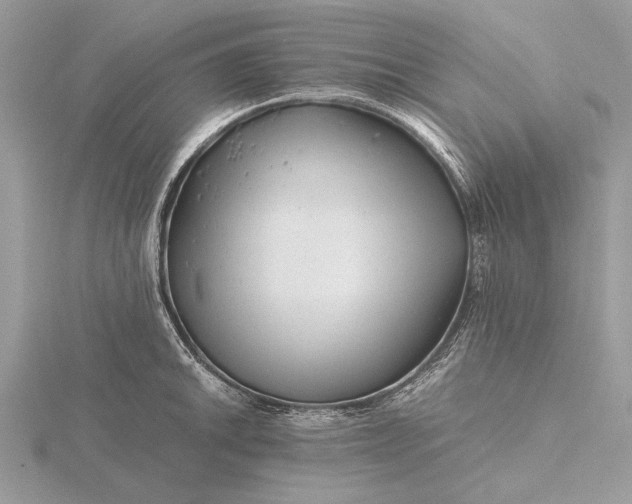 X0000116141046200912071239