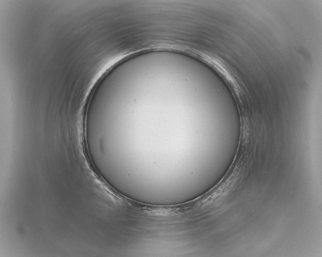 X0000116141048200912071239