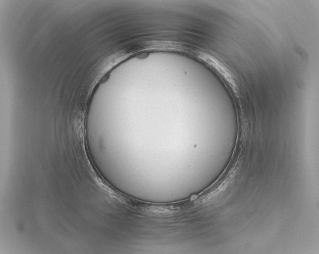 X0000116141049200912071239