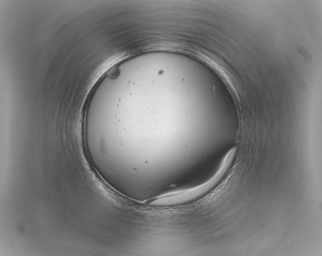 X0000116141050200912071239