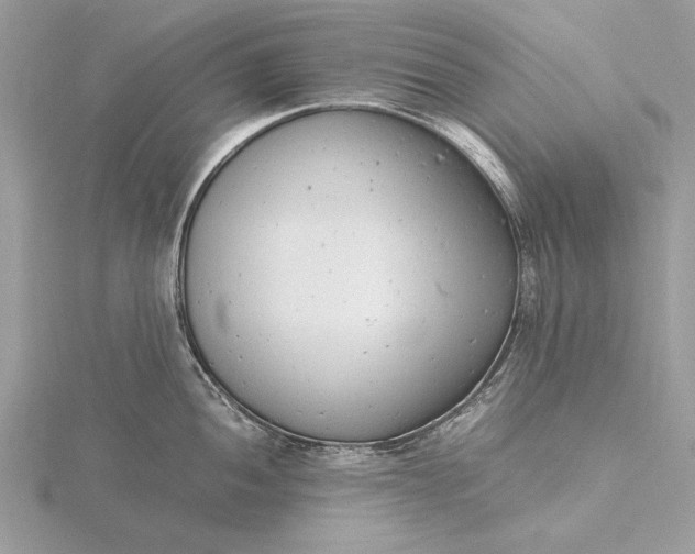 X0000116141052200912071239