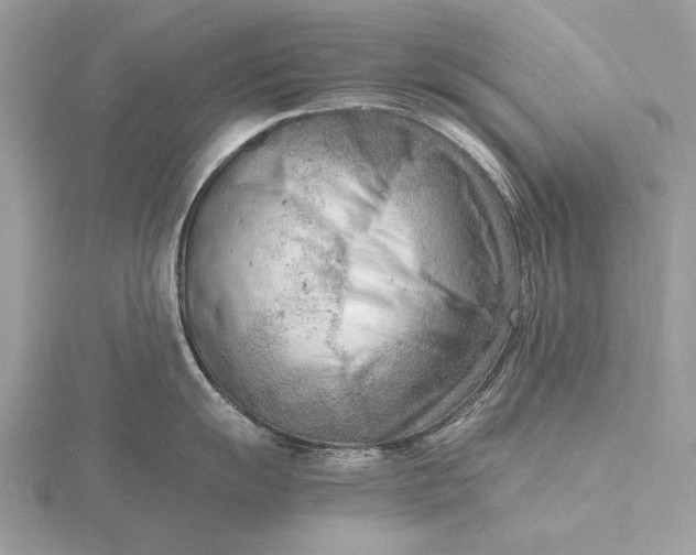 X0000116141055200912071239