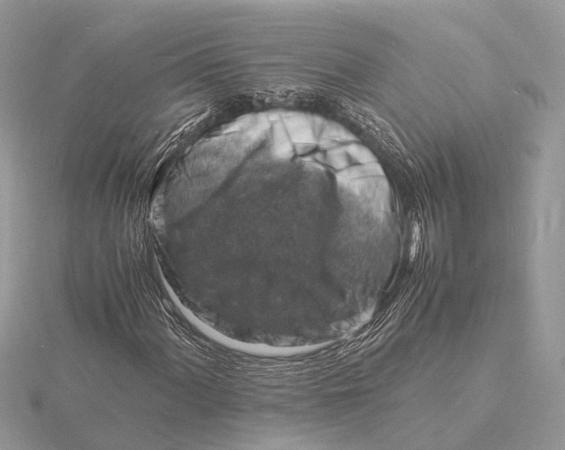 X0000116141060200912071238