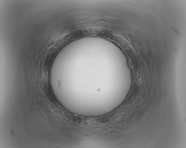 X0000116141061200912071238