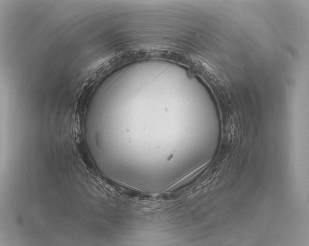 X0000116141062200912071238