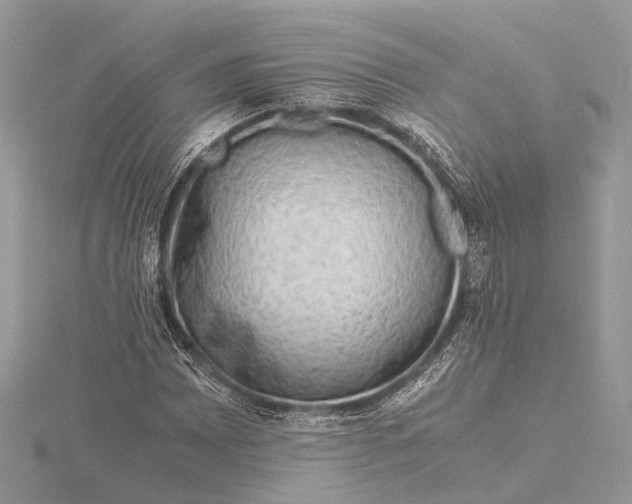 X0000116141065200912071238