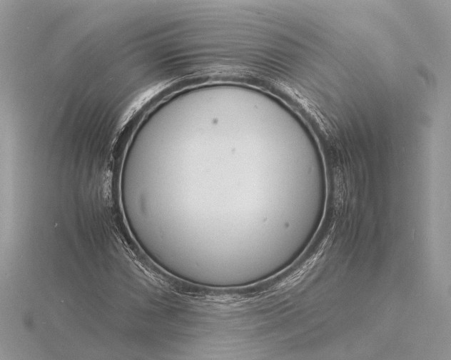 X0000116141066200912071238