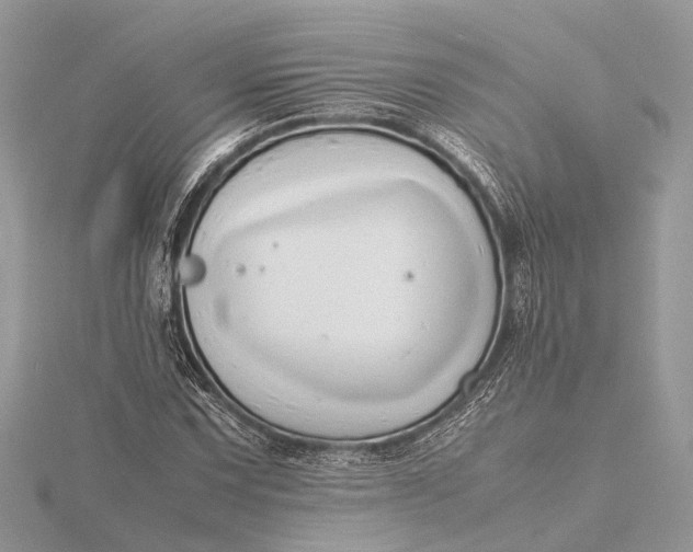 X0000116141067200912071238