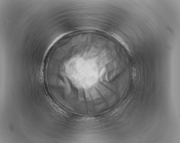 X0000116141068200912071238