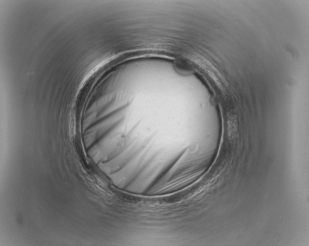 X0000116141069200912071238