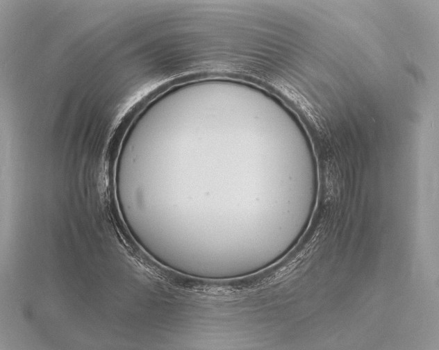 X0000116141070200912071238