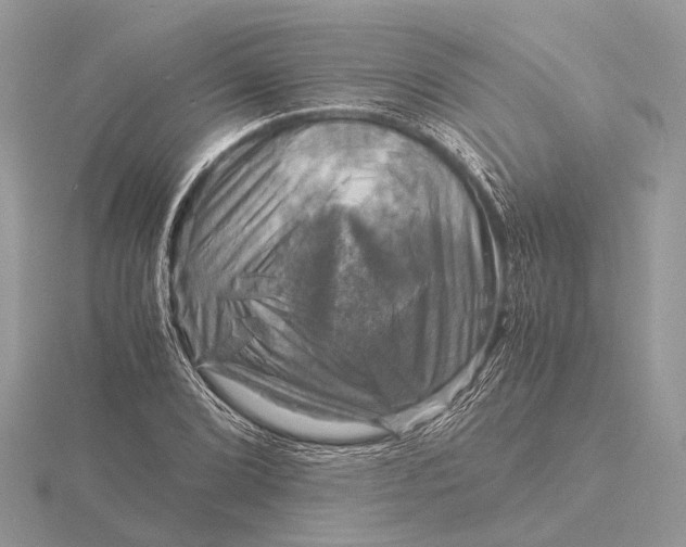 X0000116141072200912071238