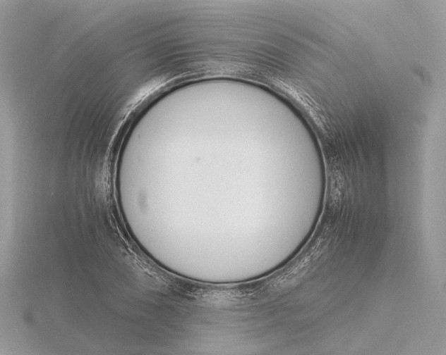 X0000116141074200912071238