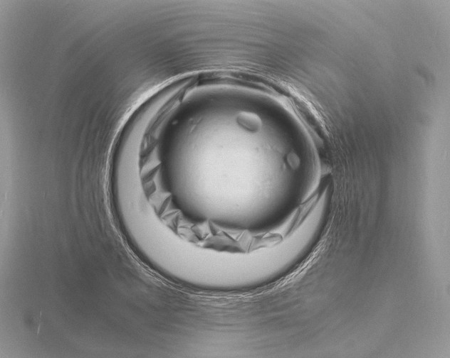 X0000116141077200912071238