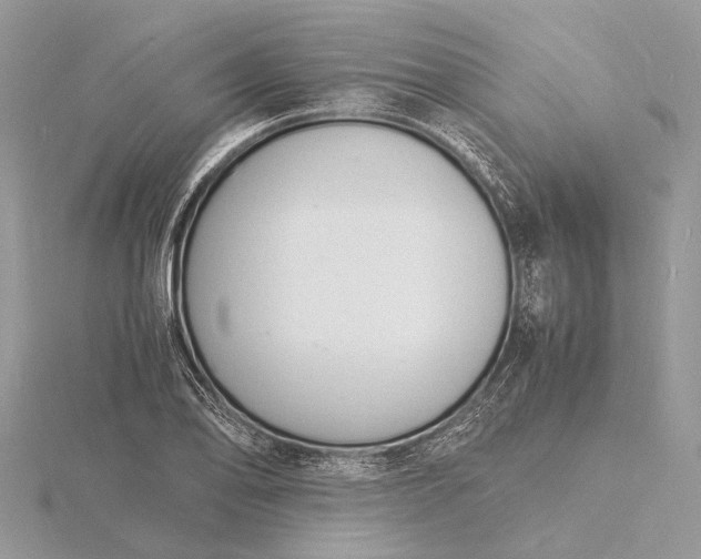 X0000116141078200912071238