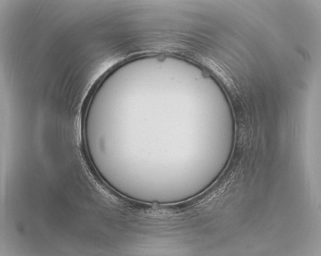 X0000116141079200912071238