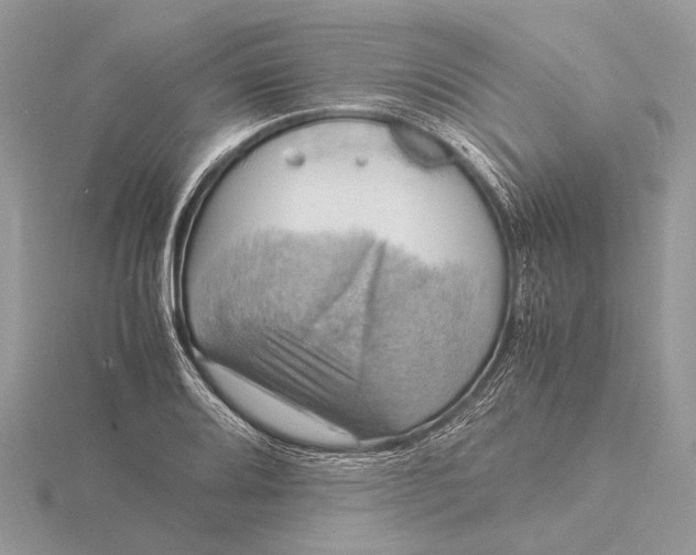 X0000116141080200912071238