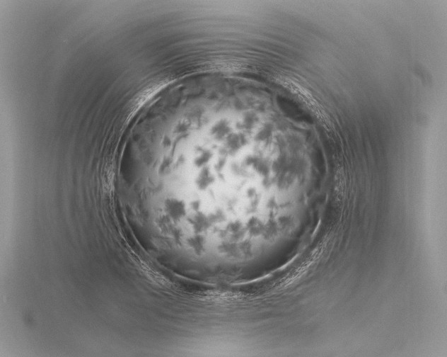 X0000116141081200912071238