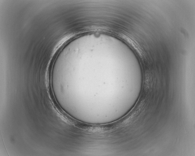 X0000116141082200912071238