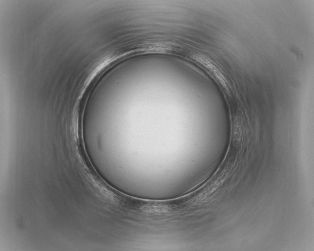 X0000116141083200912071238