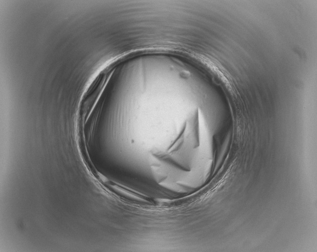 X0000116141085200912071238