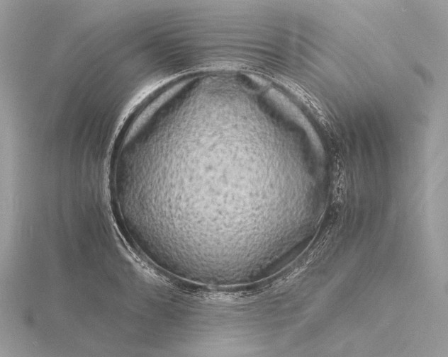 X0000116141086200912071238