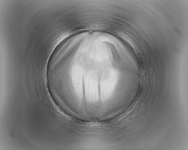 X0000116141087200912071238