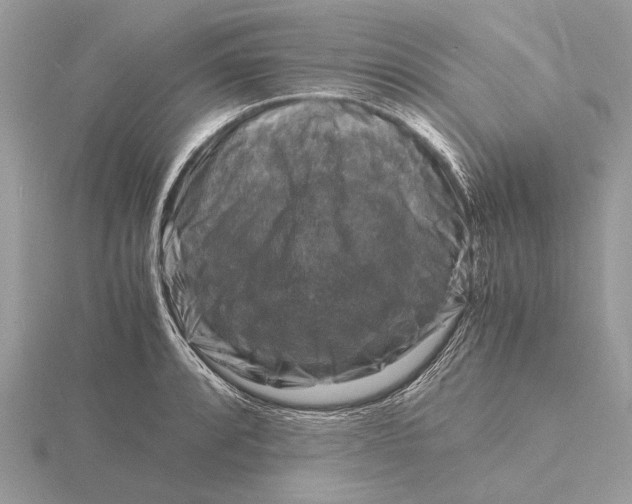 X0000116141088200912071238