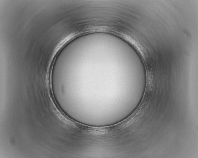 X0000116141090200912071238