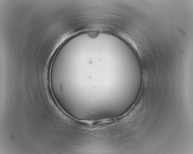 X0000116141091200912071238