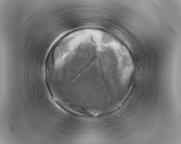 X0000116141092200912071238