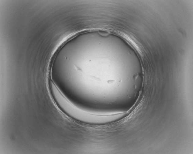 X0000116141093200912071238