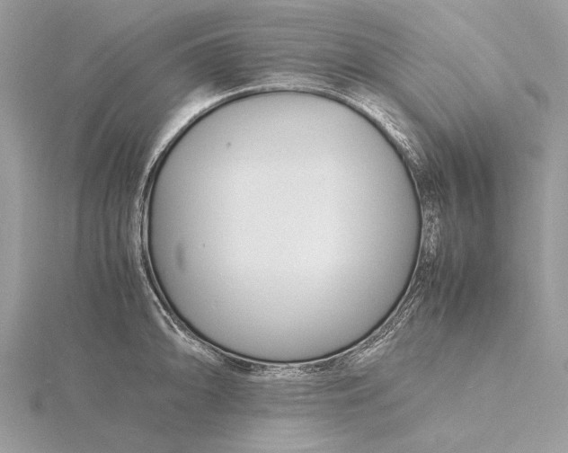 X0000116141094200912071238