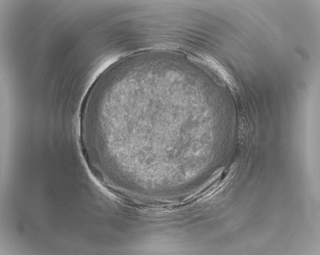 X0000116141095200912071238