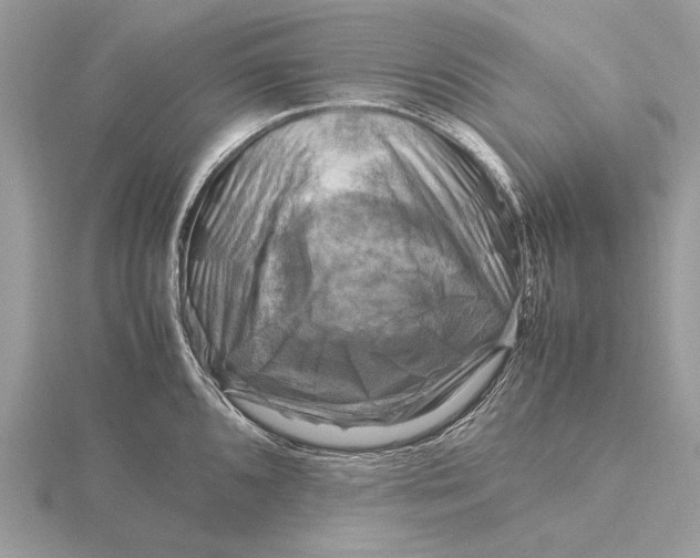 X0000116141096200912071238