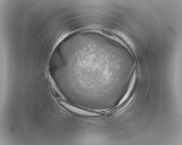 X0000116141097200912071238